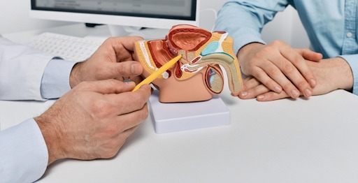 Prostate normale vs hypertrophiée